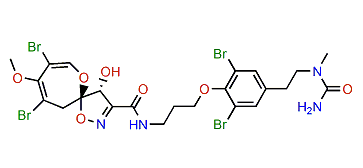 Psammaplysin G